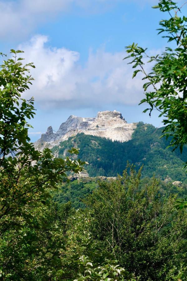 Casa Del Geco - La Natura Intorno A Te Camaiore Buitenkant foto