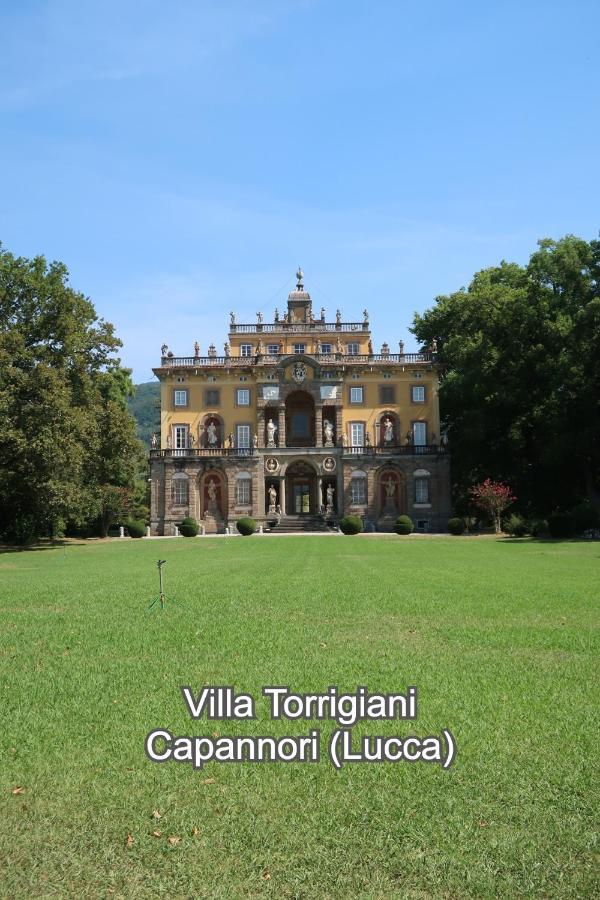 Casa Del Geco - La Natura Intorno A Te Camaiore Buitenkant foto